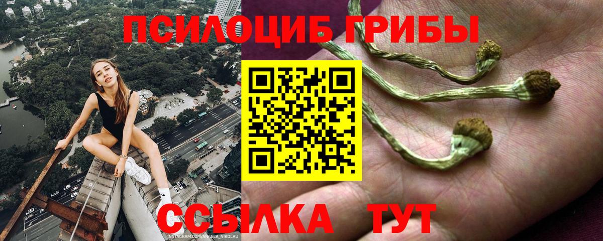 Ноябрьск  Галлюциногенные грибы MAGIC MUSHROOMS  Вход с VPN 